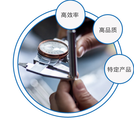 項(xiàng)目經(jīng)驗(yàn)